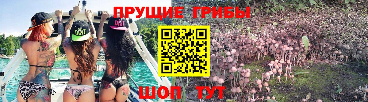 Псилоцибиновые грибы мухоморы  Галлюциногенные грибы прущие грибы  Вход с VPN  Татарск 